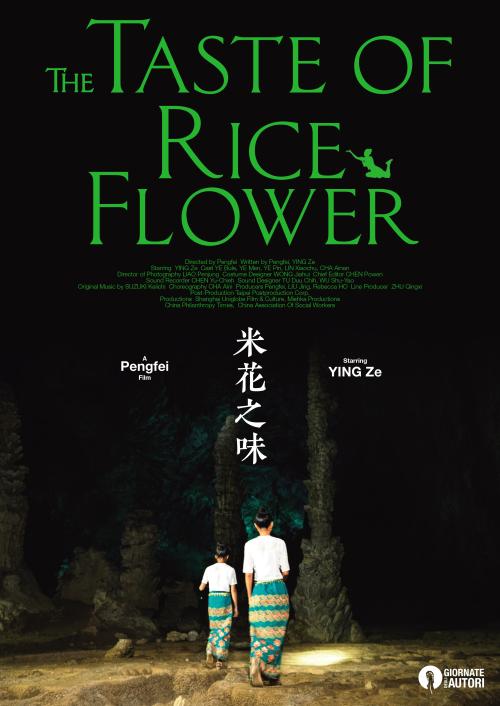 麦卡利斯特学院教育部留服认证